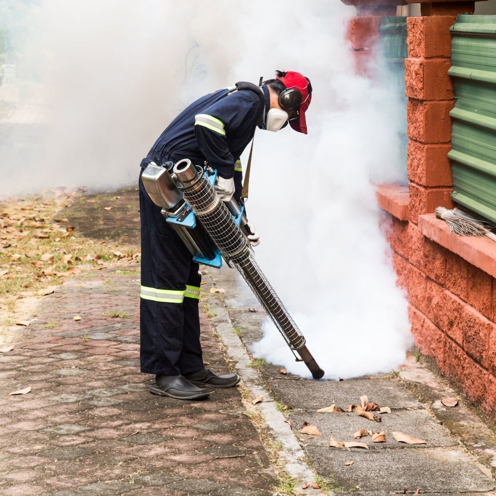 Commercial Property kitchen pest control service in Noida – cockroach gel baiting and rodent control for commercial kitchens