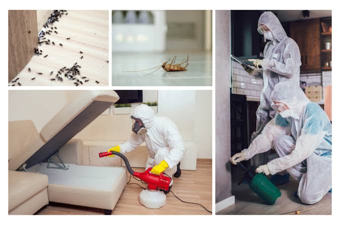 Commercial pest control service in Noida – certified technicians inspecting a commercial property office and shared area and service corridor