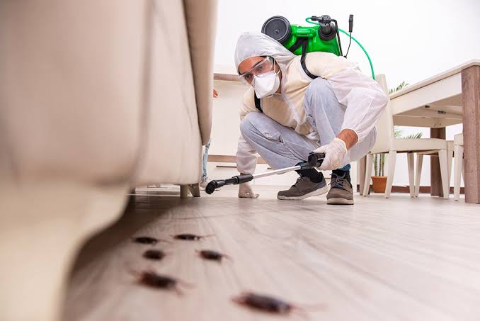 Restaurant and commercial kitchen or event venue pest control service in Noida – fly control and cockroach treatment for commercial property F&B outlets