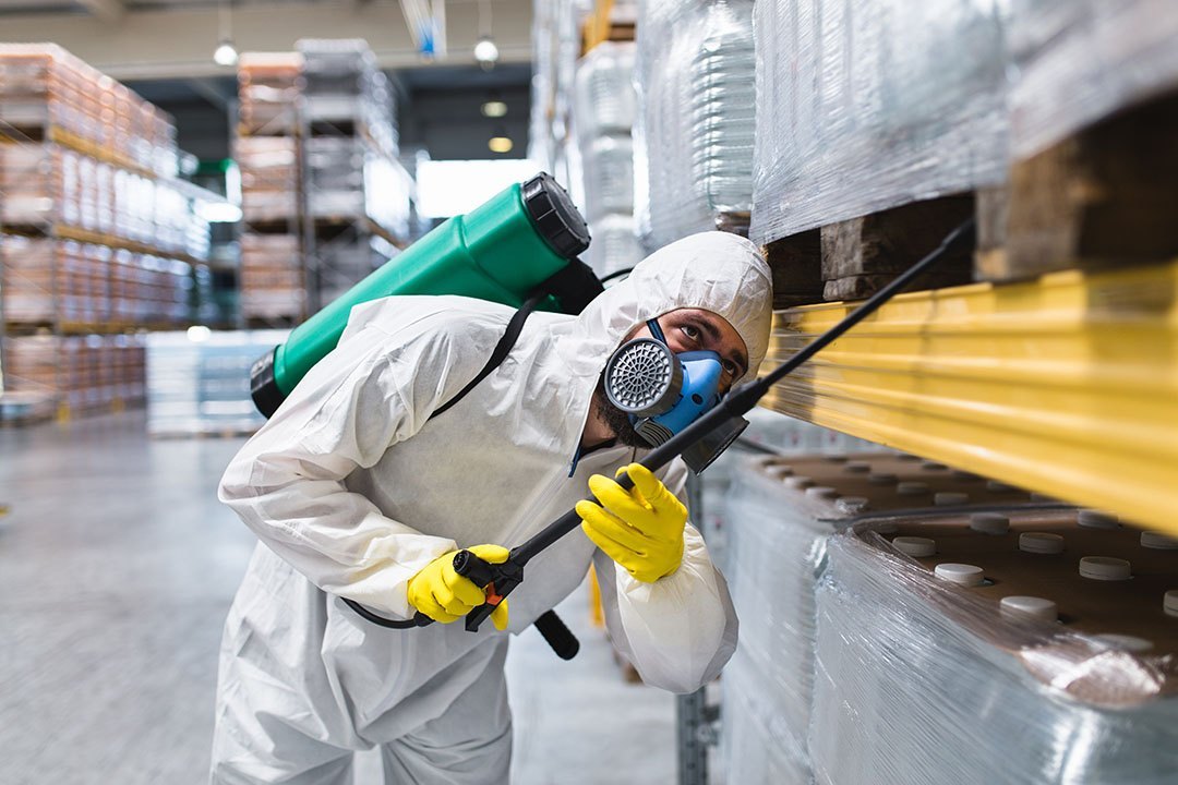 Rodent and cockroach control for factories and warehouses in IMT Manesar – bait station placement, cable route proofing and drain treatment
