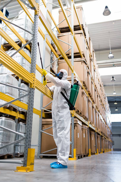 Industrial pest control service in Manesar – fly control and cockroach treatment for factories, canteens and warehouses in IMT Manesar