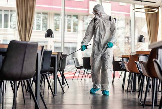 Restaurant pest control service in Manesar – certified technicians inspecting a commercial kitchen and dry store