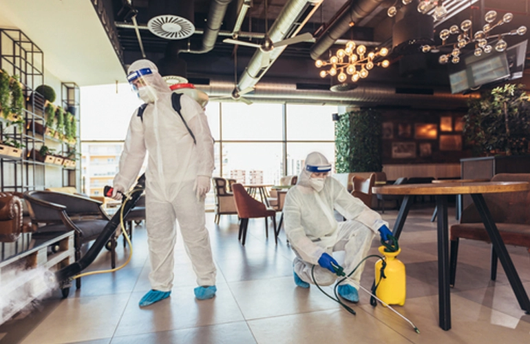 Cockroach and rodent control for restaurant kitchens in Manesar – drain treatment, gel baiting and bait station placement