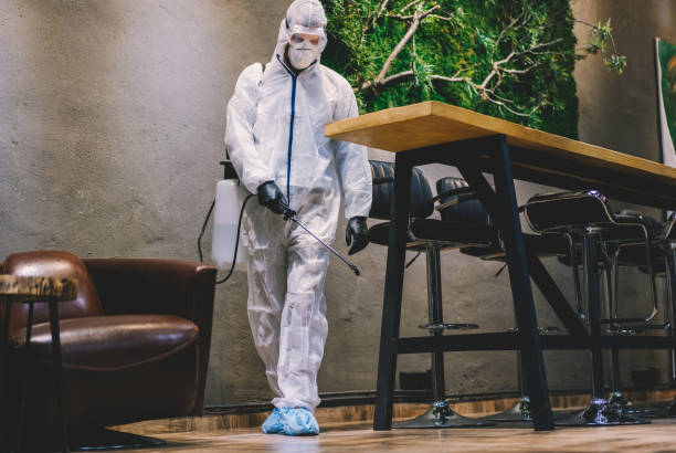 Restaurant and café pest control service in Manesar – fly control and cockroach treatment for dining and bar areas